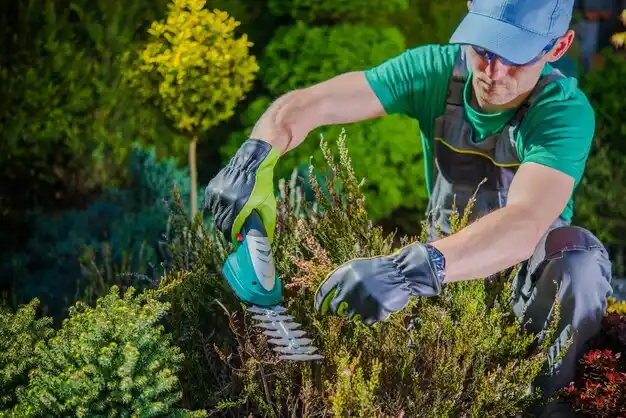 landscaping services Sycamore